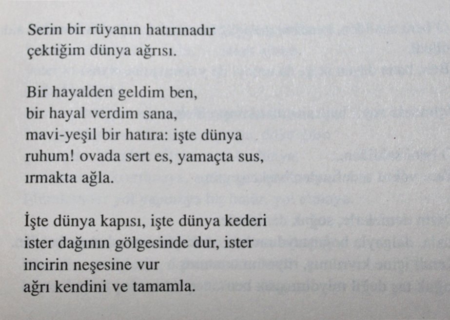 “ahıra girmeyen bir koçtum. ot buldukça uçtum. anayasada en büyük suçtum.”
