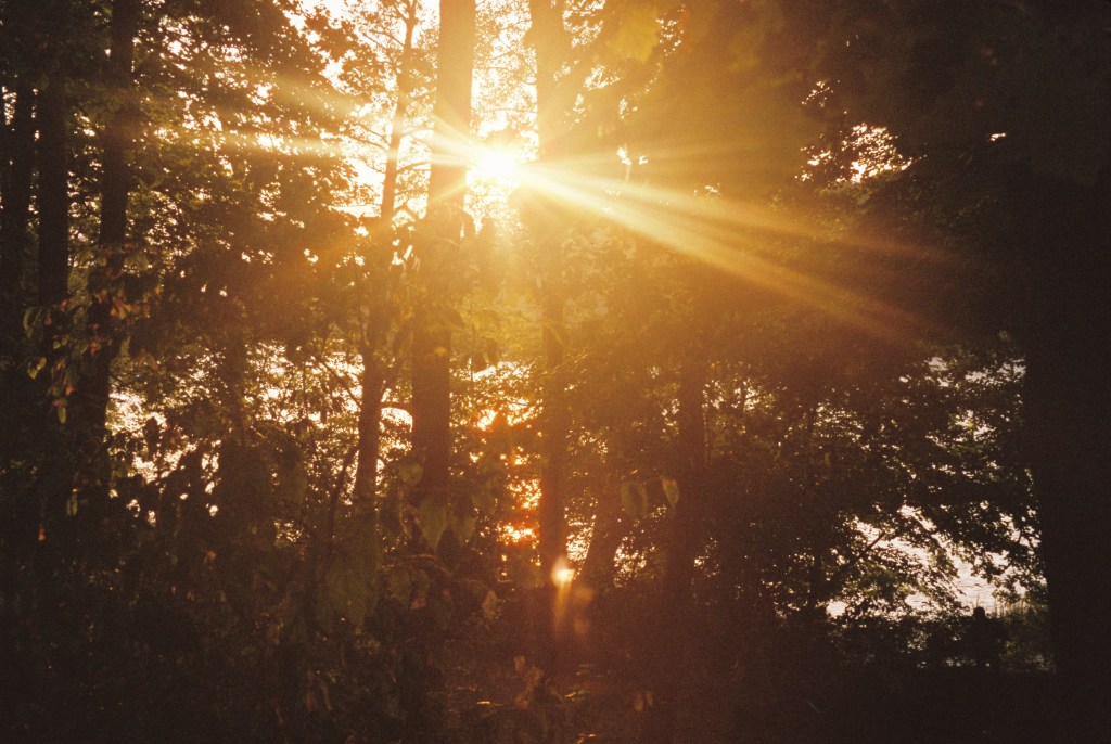 balık kızartması eşliğinde karıma- ve kendimin bir haline- veda ettim (çeviri).