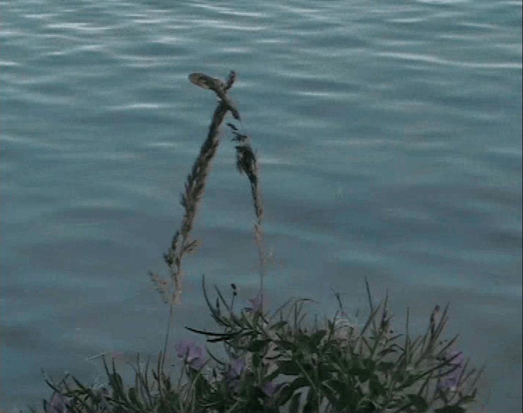 östö günlüğü/ejderha eskizi