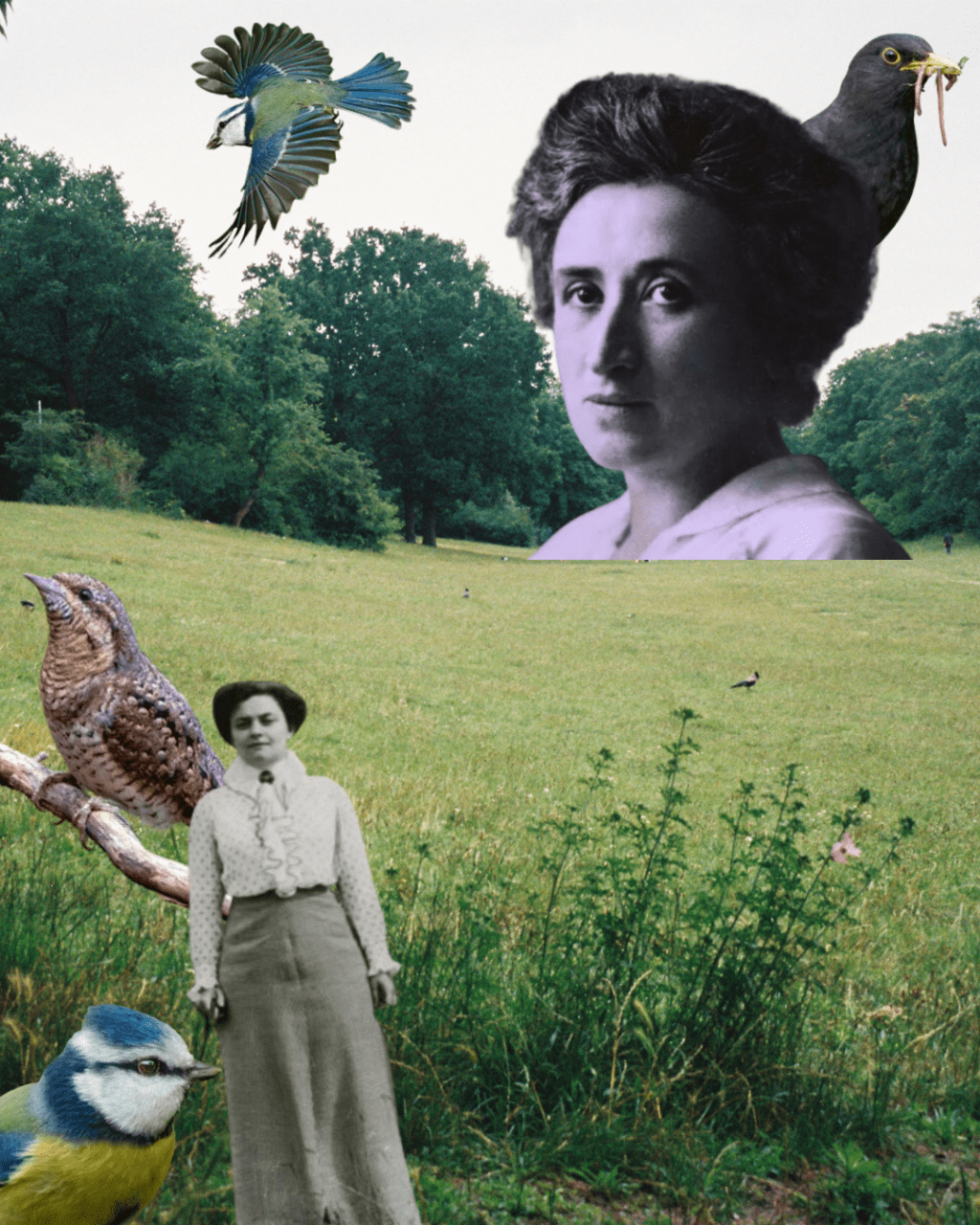 rosa luxemburg’un sophie liebknecht’e yazdığı mektup (çeviri)